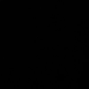 Meet your Posher, Lace